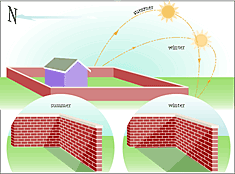 Infographic (vector): Shade in different seasons