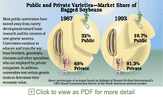 Chart: market shares for soybean growers